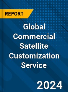 Global Commercial Satellite Customization Service Industry