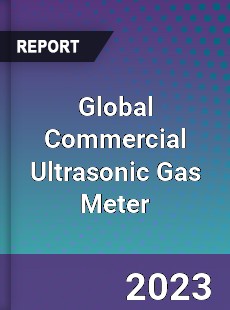 Global Commercial Ultrasonic Gas Meter Industry