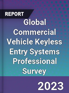 Global Commercial Vehicle Keyless Entry Systems Professional Survey Report