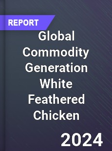 Global Commodity Generation White Feathered Chicken Industry