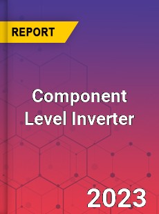 Global Component Level Inverter Market