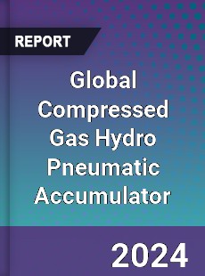 Global Compressed Gas Hydro Pneumatic Accumulator Industry