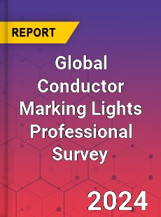 Global Conductor Marking Lights Professional Survey Report