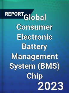 Global Consumer Electronic Battery Management System Chip Industry