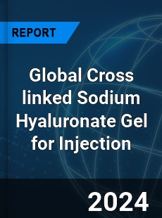 Global Cross linked Sodium Hyaluronate Gel for Injection Industry