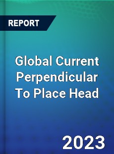 Global Current Perpendicular To Place Head Market