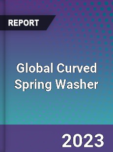 Global Curved Spring Washer Industry