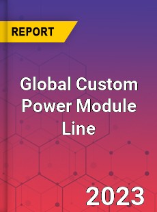 Global Custom Power Module Line Industry