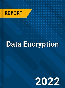 Global Data Encryption Industry