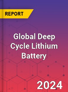 Global Deep Cycle Lithium Battery Industry