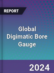 Global Digimatic Bore Gauge Industry