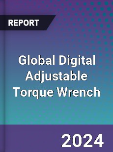 Global Digital Adjustable Torque Wrench Industry