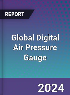 Global Digital Air Pressure Gauge Industry