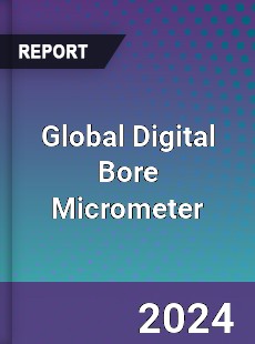 Global Digital Bore Micrometer Industry