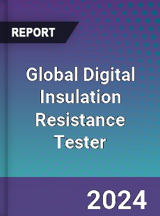 Global Digital Insulation Resistance Tester Industry