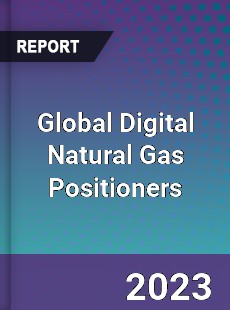 Global Digital Natural Gas Positioners Industry