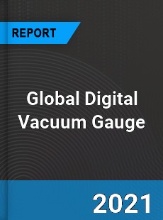 Global Digital Vacuum Gauge Industry