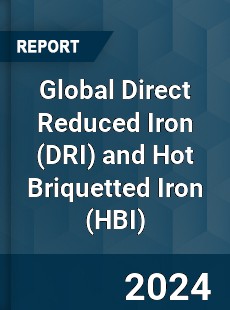 Global Direct Reduced Iron and Hot Briquetted Iron Industry