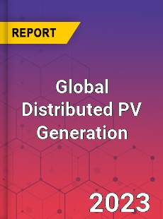 Global Distributed PV Generation Industry