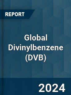 Global Divinylbenzene Market