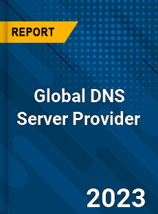 Global DNS Server Provider Industry