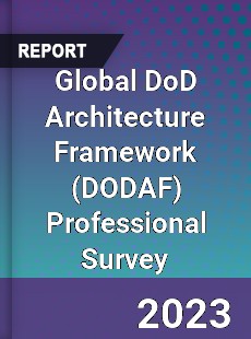 Global DoD Architecture Framework Professional Survey Report