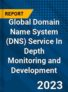 Global Domain Name System Service In Depth Monitoring and Development Analysis