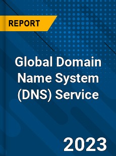 Global Domain Name System Service Market