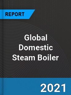 Global Domestic Steam Boiler Market