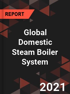 Global Domestic Steam Boiler System Market