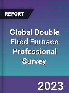 Global Double Fired Furnace Professional Survey Report