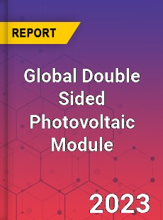 Global Double Sided Photovoltaic Module Industry