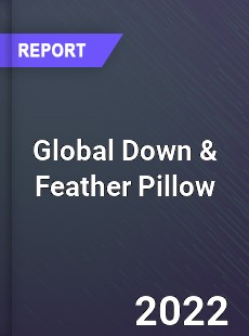 Global Down amp Feather Pillow Market