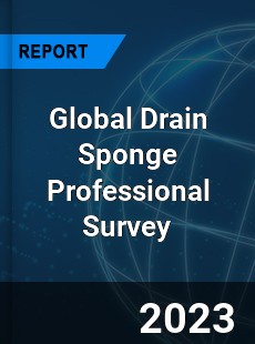 Global Drain Sponge Professional Survey Report