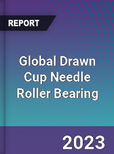 Global Drawn Cup Needle Roller Bearing Industry