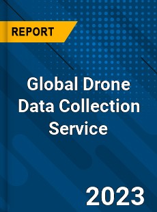 Global Drone Data Collection Service Industry