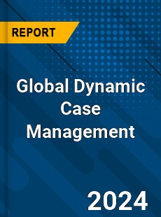 Global Dynamic Case Management Industry