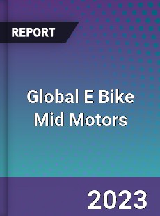 Global E Bike Mid Motors Industry