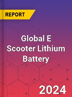 Global E Scooter Lithium Battery Industry