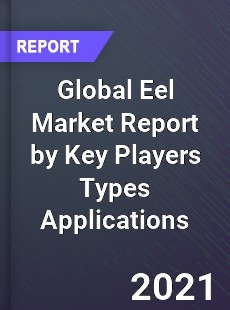 Global Eel Market Report by Key Players Types Applications