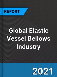 Global Elastic Vessel Bellows Industry