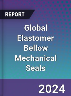 Global Elastomer Bellow Mechanical Seals Industry