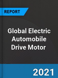 Global Electric Automobile Drive Motor Market