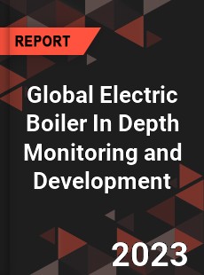 Global Electric Boiler In Depth Monitoring and Development Analysis