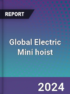 Global Electric Mini hoist Industry