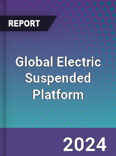 Global Electric Suspended Platform Industry