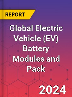 Global Electric Vehicle Battery Modules and Pack Industry