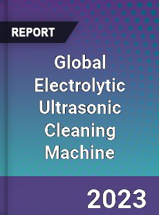 Global Electrolytic Ultrasonic Cleaning Machine Industry