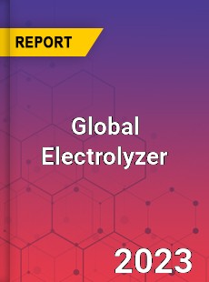 Global Electrolyzer Market