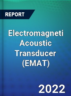 Global Electromagneti Acoustic Transducer Market